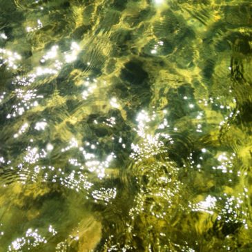 Acqua Latina: prelievo in bolletta di ulteriore deposito cauzionale,  Voi avete notato questo “prelievo” in bolletta?