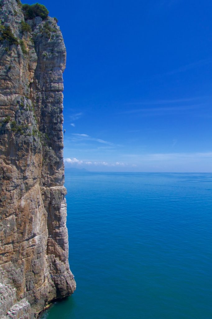DSC00224