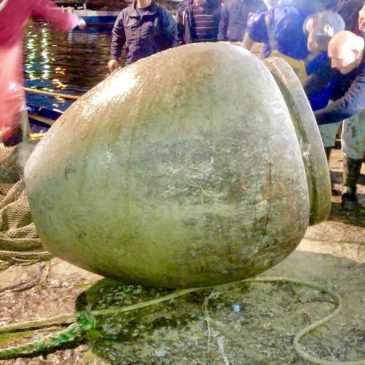 Gaeta: peschereccio recupera anfore antiche rarissime / ecco le foto
